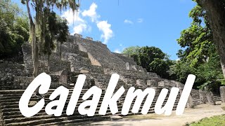 CALAKMUL  the Serpent Kingdom [upl. by Hgielar837]