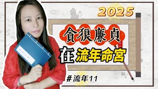 2025年 乙巳年 流年11 流年命宮廉貞貪狼 靈機靈姬學院紫微斗數找到自己此生使命Zi Wei Dou Shu is a branch of Chinese Astrology [upl. by Sparky418]