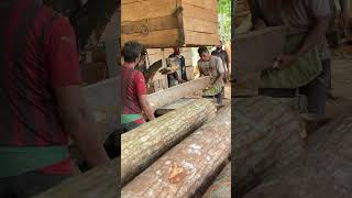 Expert Sawmill Operators Mastering Precision Cutting and Wood Processing wood [upl. by Swain268]