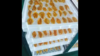 Dried mango Dehydrated fruits drying machine 3000 kg Per Batch Dehydrated fruits vegetable dryer [upl. by Naimad29]