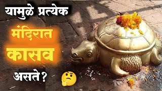 🤔प्रत्येक मंदिरात कासव का असते  Mandirat Kasav Ka Aste  Mandir Vastu Shastra  Kasav  कासव [upl. by Goff818]