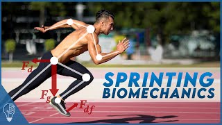 How sprinters use biomechanics to push the limits of the human body [upl. by Elok]