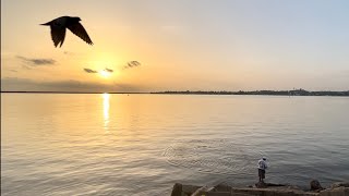 De pesca en el Río Coatzacoalcos [upl. by Nonnel1]