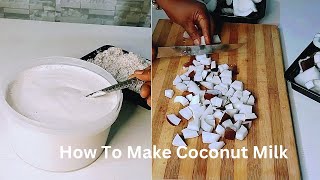 How To Make Coconut Milk  Homemade Coconut Milk [upl. by Bibah563]