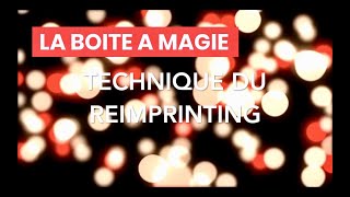 LA BOITE A MAGIE  Utiliser la technique du REIMPRINTING pour se transformer PNL [upl. by Eisinger738]