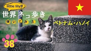 【ネコ歩き弾いてみた㊳】ハノイの月  髙野正樹【Music w cat】 [upl. by Ateikan806]