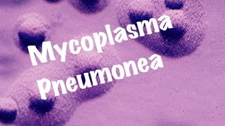 Medical Video Lecture Mycoplasma Pneumoniae Microbiology [upl. by Lednem]