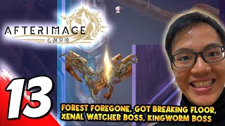 13 AFTERIMAGE Forest Foregone Got Breaking Floor Bosses Xenal Watcher Kingworm [upl. by Yroger]