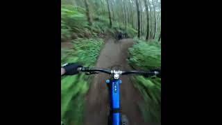 ⚡️Singletrack⚡️ emtb [upl. by Teddman]