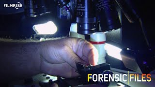 Forensic Files Season 11 Episode 19  No Safe Place  Full Episode [upl. by Melbourne366]