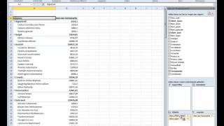 Draaitabellen in Excel [upl. by Zarger]