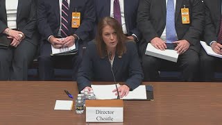 Secret Service Director Kimberly Cheatle dodges question on roof where assassin shot from [upl. by Ttam2]