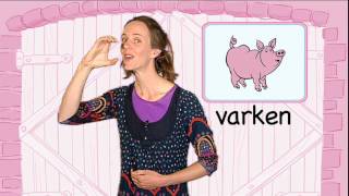 Leer het gebaar voor Varken Kindergebaren met LotteampMax [upl. by Barb716]