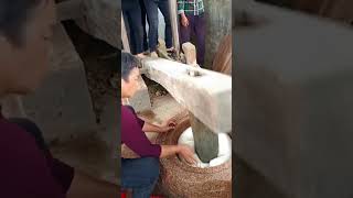 The traditional process of making rice cakes [upl. by Landre]