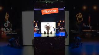 Microdose Pilobolus from Shadowland the Flower [upl. by Alyakem]