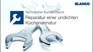 Reparatur einer undichten Küchenarmatur  BLANCO [upl. by Sharl570]