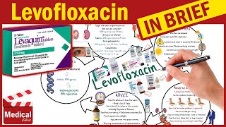 Levofloxacin  Levaquin  What is Levofloxacin Used For Dosage Side Effects amp Precautions [upl. by Mun798]