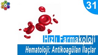 HEMATOLOJİ ANTİKOAGÜLAN İLAÇLAR  Hızlı Farmakoloji 31 [upl. by Papageno]