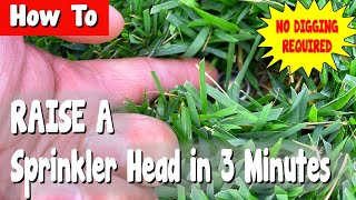 How To Easily Raise a Sprinkler Heads in 3 Minutes Without Digging [upl. by Devinne]