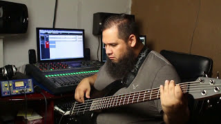 Increible Miel San Marcos Cover Bass [upl. by Buzzell]