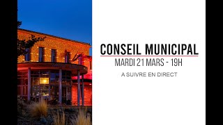 Conseil municipal du 12 avril 2023 [upl. by Hagile464]