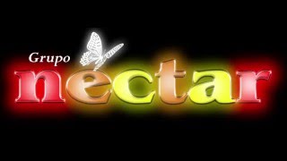 mix nectar recuerdos [upl. by Enelak]