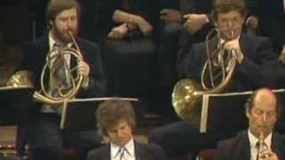 Beethovens 3rd Symphony Horn Trio Solo [upl. by Nahtanaj458]