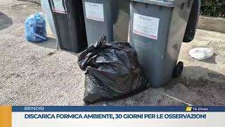 Discarica formica ambiente 30 giorni per le osservazioni [upl. by Tombaugh]