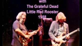 Mick Taylor with The Grateful Dead Little Red Rooster [upl. by Konikow]