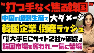 【打つ手なく焦る韓国政府】中国の過剰生産で大ダメージ「韓国企業、倒産ラッシュ」韓国大手ECサイト2社が破綻…韓国市場を奪われ、一気に苦境 [upl. by Parfitt]