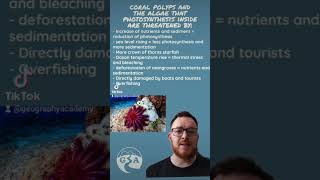 Threats to coral reefs alevel igcse geography gcse environmentalscience [upl. by Schild]