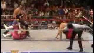 Randy Savage vs Yokozuna 1994 22 [upl. by Obala]