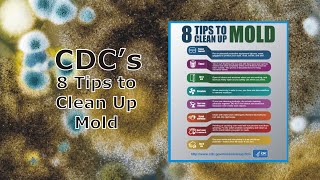 8 Tips from the CDC to Clean Up Mold [upl. by Skantze456]