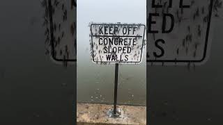 FishingGuy Catfish BigFish Wildlife WaterReservoir ￼Spillway mayflowers Mayflies [upl. by Lenehc]