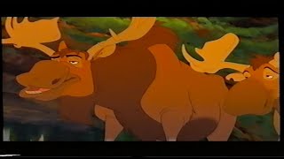 Brother Bear Tuke Says Hows It Going Bear VHS Capture 2003 [upl. by Ahsikin]