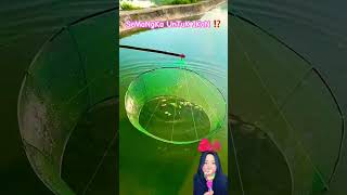 MANCING IKAN PAKE SEMANGKA 🍉⁉️ shorts funny dubbing fish experiment fishing [upl. by Lucilla230]