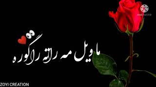 Pashto ghamgeen sad shairi  Pashto poetry [upl. by Oinotnanauj]