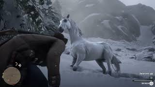 Red Dead Redemption 2 Finding the White Arabian horse [upl. by Laszlo]