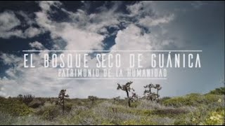 El Bosque Seco de Guánica Patrimonio de la Humanidad [upl. by Osbert]