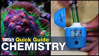 Quick Guide to Mastering Reef Tank Chemistry  Become an expert reef tank chemist without a degree [upl. by Bond702]