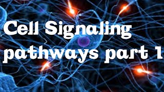 Cell Signaling Pathways part 1 [upl. by Nennahs]