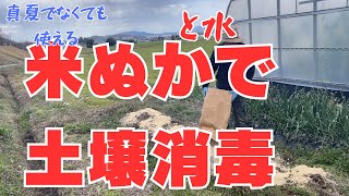 米ぬかの発酵熱と酸欠を利用したシンプルな土壌消毒 [upl. by Enyamart]