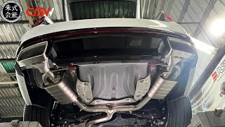 SKODA OCTAVIA RS MK4 升級 CGW Exhaust 不鏽鋼雙閥門中尾段排氣管 [upl. by Aicilanna638]