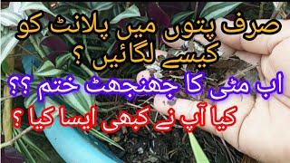 How to grow plants in leafs without soil Amazing way to grow plants without soil myowngarden141 [upl. by Adriel]