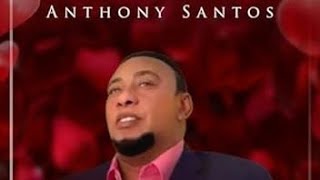 Antología de Caricias  Anthony Santos Audio Bachata [upl. by Tnek]