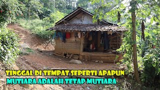 Di Balik Keindahan Kampung Terujung Terisolir Kembang Desa Yang Memiliki Mimpi Indah [upl. by Initirb480]