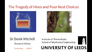 FreeTheBees  Bees Without Borders Derek Mitchell  The Tragedy of Hives and Poor Nest Choices [upl. by Karylin327]