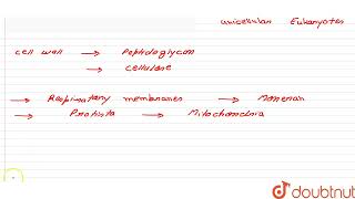 Differentiate between Monera and Protista based based upon the following characters a Chemica [upl. by Nomae]