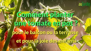 Comment PLANTER les TOMATES en POT🍅 Pour la CULTURE sur le BALCON ou la TERRASSE [upl. by Ardnikal69]