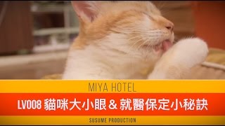 miya hotel LV008 貓咪大小眼＆就醫保定小秘訣 Horners Syndrome in Cats amp How to Restrain Your Cat Safely [upl. by Atteragram309]